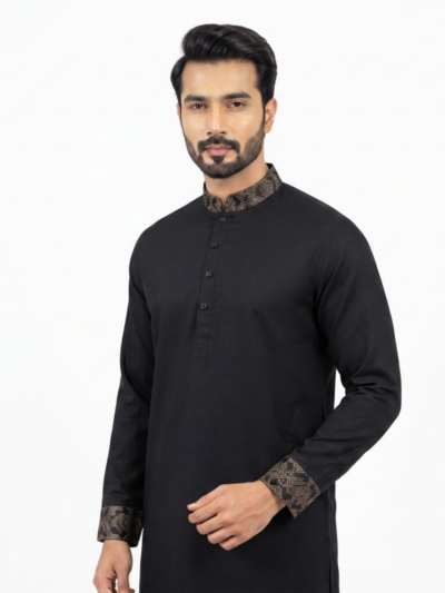 Elegant Black Punjabi