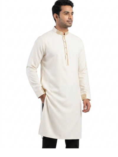 Elegant Beige Punjabi